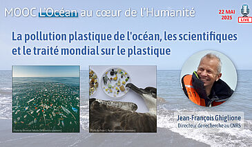La pollution plastique de l'océan, les scientifiques et le traité mondial sur le plastique