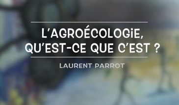 L’agroécologie, qu’est-ce que c’est ?