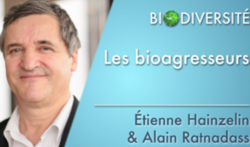 Les bioagresseurs