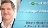 Les bioagresseurs