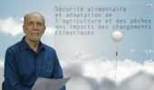 Sécurité alimentaire et adaptation de l'agriculture et des pêches aux impacts des changements climatiques