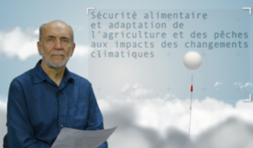 Sécurité alimentaire et adaptation de l'agriculture et des pêches aux impacts des changements climatiques