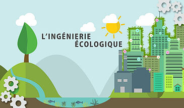 Ingénierie écologique