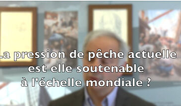 La pression de pêche actuelle est-elle soutenable à l’échelle mondiale ?