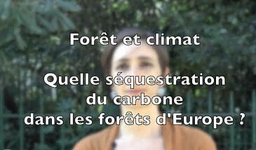 Forêt et climat – Quelle séquestration de carbone dans les forêts d’Europe ?