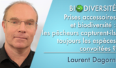 Prises accessoires et biodiversité : les pêcheurs capturent-ils toujours les espèces convoitées ?