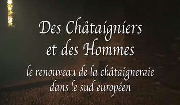 Des châtaigniers et des hommes - Le renouveau de la castanéiculture dans le sud européen - Introduction