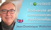 Biodiversity and traditional knowledge