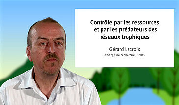 Contrôle par les ressources et par les prédateurs des réseaux trophiques