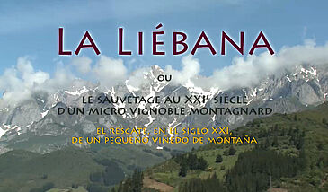 La Liébana, ou le sauvetage, au XXIème siècle, d'un micro-vignoble montagnard