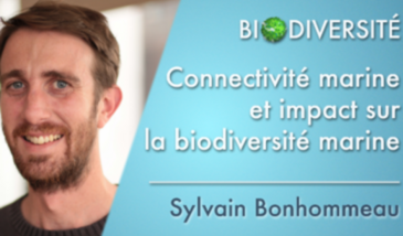 Connectivité marine et impact sur la biodiversité marine