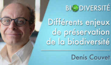 Différents enjeux de préservation de la biodiversité