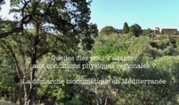 Série EcoMedit n°7 : Quelles clés pour s'adapter aux contraintes physiques régionales ? La démarche biomimétique en région méditerranéenne