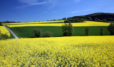 Biodiversité et agronomie (8 vidéos)