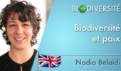 Biodiversity and peace