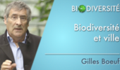 Biodiversité et ville - Clip