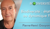 Biodiversité : état ou dynamique