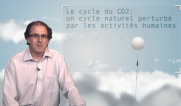 Le cycle du CO2 : un cycle naturel perturbé par les activités humaines