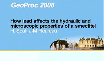 How lead affects the hydraulic and microscopic properties of a smectite