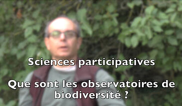 Sciences participatives – Que sont les observatoires de biodiversité ?