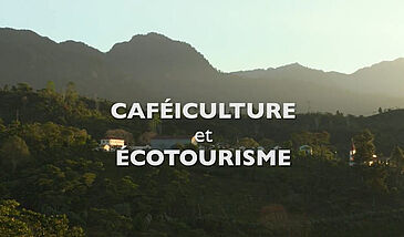 Caféiculture et écotourisme - Bonus 3