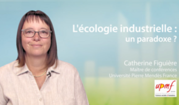 L'écologie industrielle : un paradoxe ?