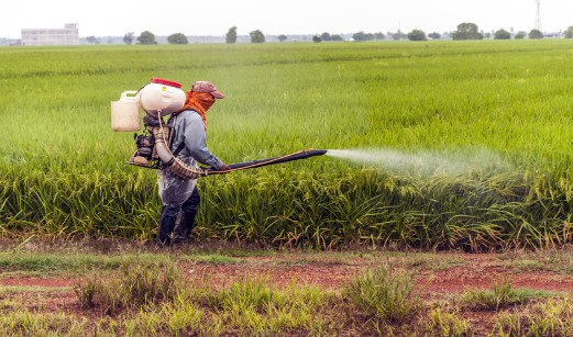 Agréger/combiner les facteurs de risque dans l'utilisation des pesticides : l'agrégation par la méthode combinatoire, une méthode pseudo-scientifique